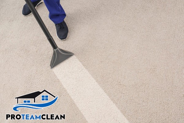 Factors that Influence Professional Carpet Cleaning Costs