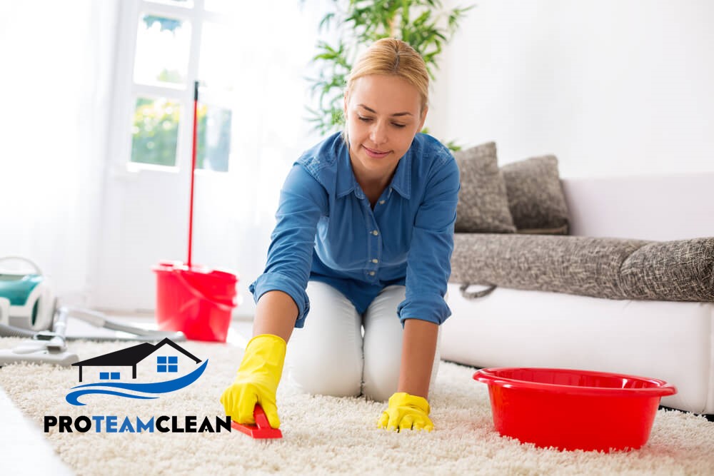 Expert Tips for Maintaining Clean Carpets