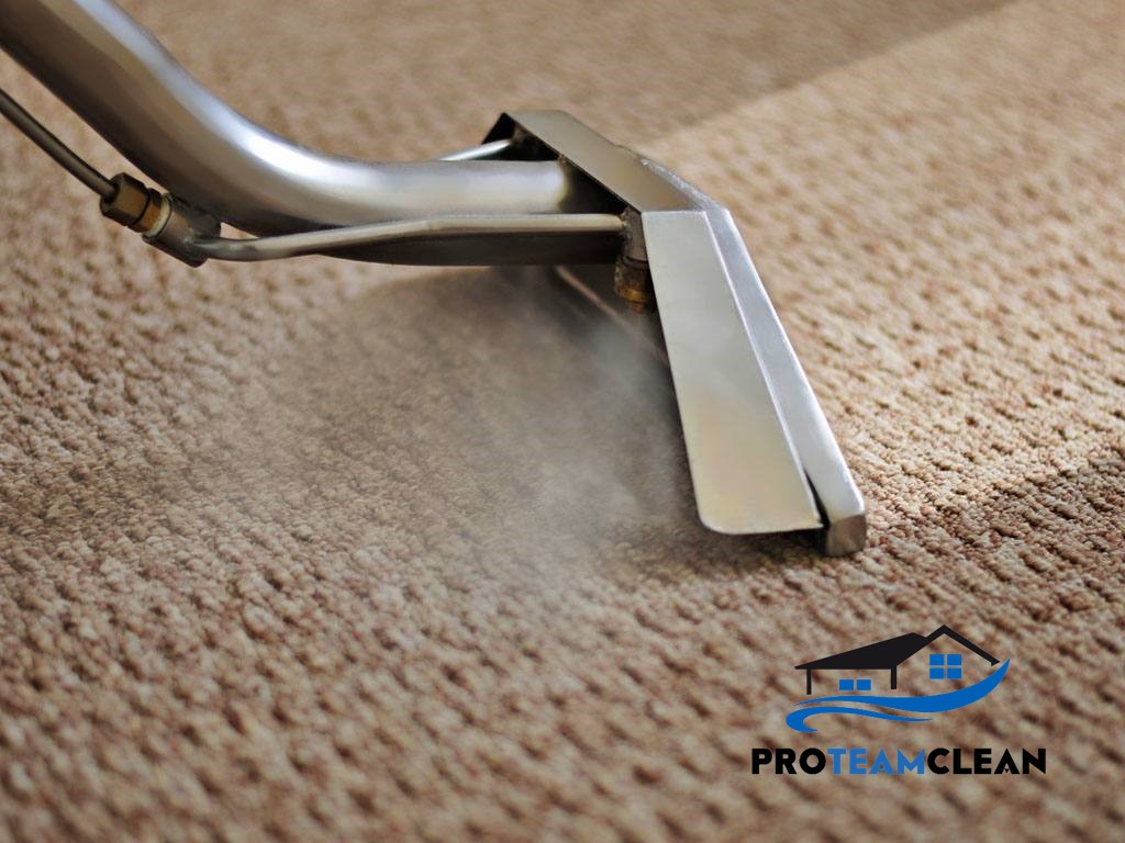 Professional Steam carpet cleaning