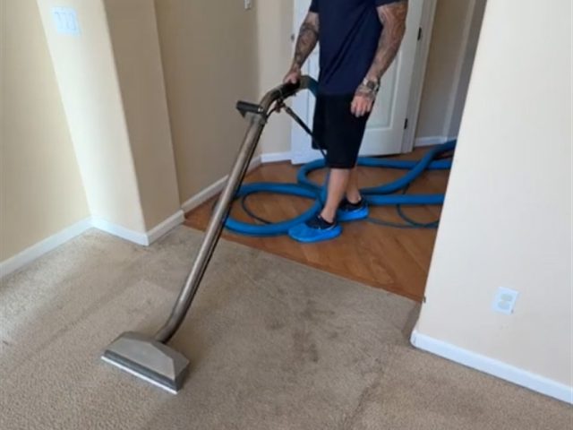 How Clean Carpets Improve Workplace Health and Productivity